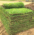 Bermuda SOD Pallet - Champion Landscape Supplies - GRASS